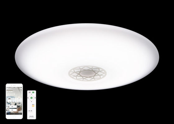 Veelzijdige Warme Witte Plafondlichten, Regelbaar Slim het Plafondlicht van de Kleurentemperatuur